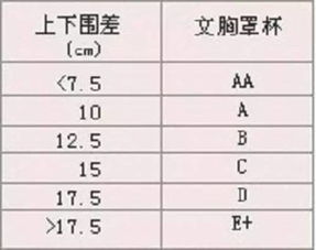 胸罩ABCD尺码表 如何测量女性罩杯的尺寸 胸罩ABCD尺码图侧面