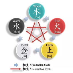 五行相生相克图表 有些朋友可能不明白为什么宇宙中的一切都是由 人体五行相生相克图表