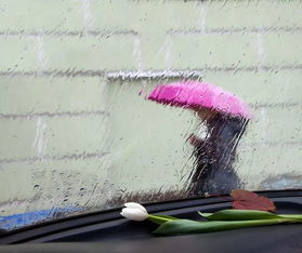 梦见下雨是什么征兆 大脑正在缓解悲伤 梦见下雨是什么征兆 女性