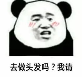 什么是头发梗 吃菠萝是什么梗