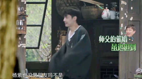 张艺兴杨紫的恋情是真的吗? 杨紫张艺兴宣布恋情