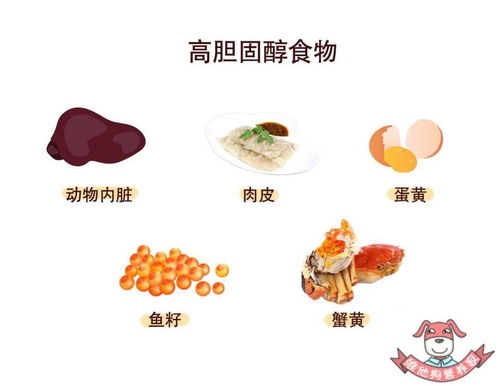 经常吃种降血脂水果_健康频道 降血脂吃哪种药