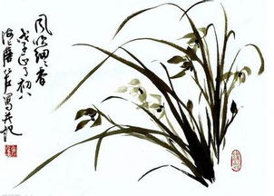 兰草千幅画,一箭兰花万首诗 一株兰草千幅画