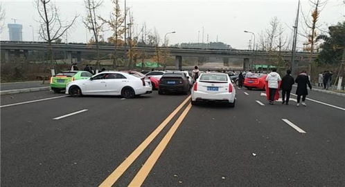 凯迪拉克追高铁是真的吗? 凯迪拉克追高铁是什么型号