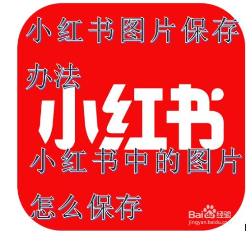【网络流行语】ootd什么意思 00后网络流行语
