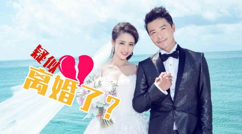佟丽娅和陈思成什么时候离婚?