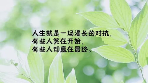 早上的句子发给朋友圈很短 早上发给喜欢的女孩句子