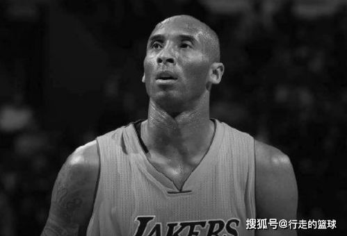 科比坠机死亡的真相 坠机的主要原因是飞行员和飞行公司 2020年1月26日科比坠机死亡