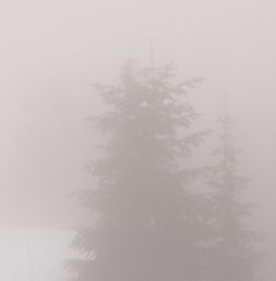 周公解梦:梦见雪是什么征兆 周公解梦梦见雪崩是什么意思