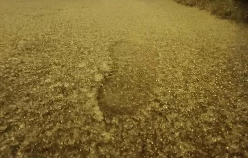 雷打雪预示大事件 民间流传雷达雪人吃铁 雷打雪预示大事件发生吗