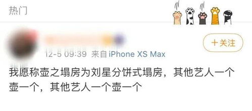 饭圈特殊术语 腐唯:接受自己的偶像