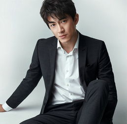 林更新影视作品集 狄仁杰四大天王 郭敬明影视作品集