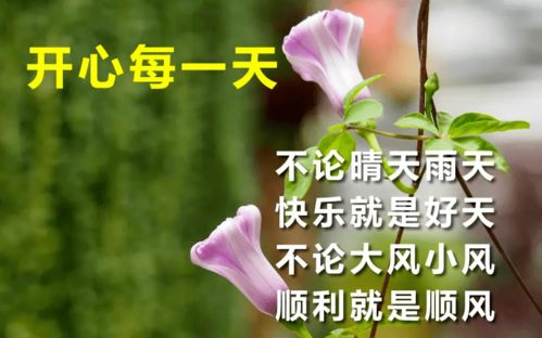 最感人的早安问候 最感人的早安问候动画表情