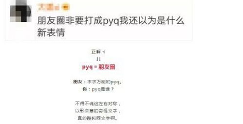 plmm网络用语是什么意思? plmm网络用语什么意思