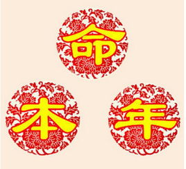 出生年份有什么特别之处 出生年份属于什么测量
