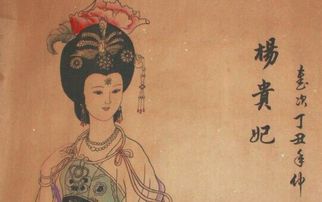 为什么杨贵妃不能生育? 杨贵妃为什么没有孩子
