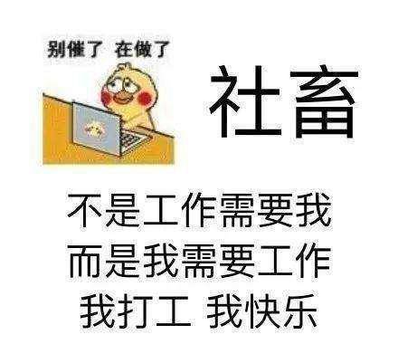 一些奇怪的英语缩写经常在互联网上流行