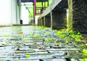 梅雨季节是什么时间,下一个小化妆会带你去看看 梅雨季节是什么时间安徽