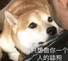 网络语言凡尔赛是什么意思 网络语言老凡尔赛是什么意思