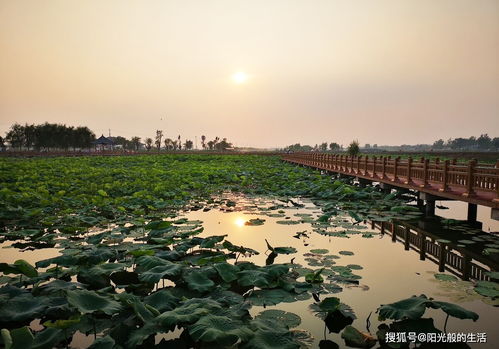 为什么曹县人被全国骂 曹县是一个不出名的小县 曹县为什么是宇宙中心