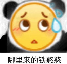 网络用语铁憨憨 至于铁汉汉的意思,我前面也解释过