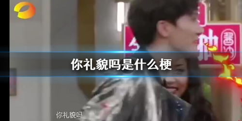 你有礼貌吗?是什么梗?(你有礼貌吗是什么梗)