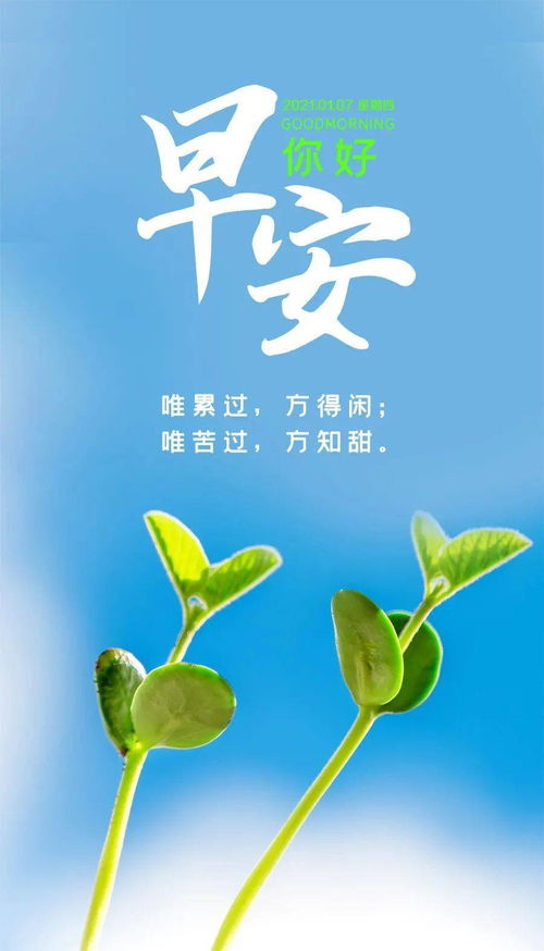 这些早上好的暖心话短句只起辅助作用(早上好最暖心的祝福)