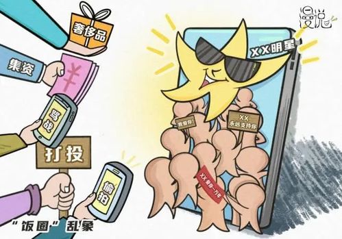 饭圈是什么意思?是粉丝圈的缩写(饭圈黑话是什么意思)