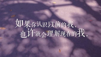 人生感悟的句子(人生感悟的句子伤感)