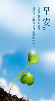 正能量句子鼓舞人心的短句子(鼓舞青少年的正能量句子)