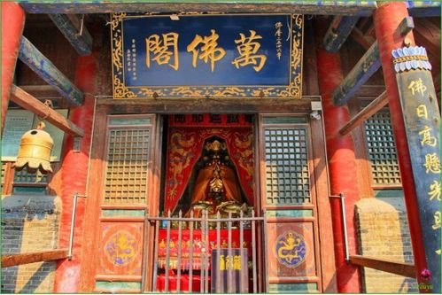 五台山最有效的实验是什么?