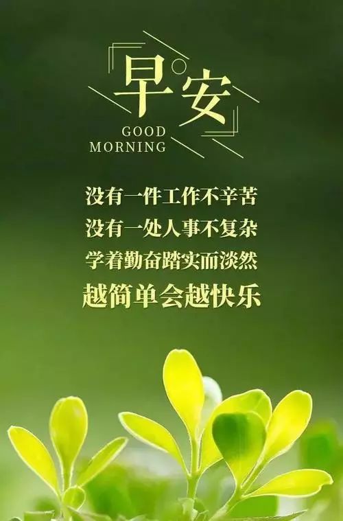 早上好高情商句子(早上好高情商句子发给客户)