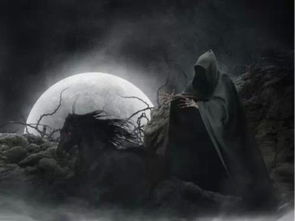 人死后49天在阴间做什么(人死后49天在阴间做什么)