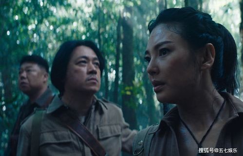 鬼吹灯最后的结局 胡八一等人解除了诅咒(鬼吹灯最后的结局是怎么样的)