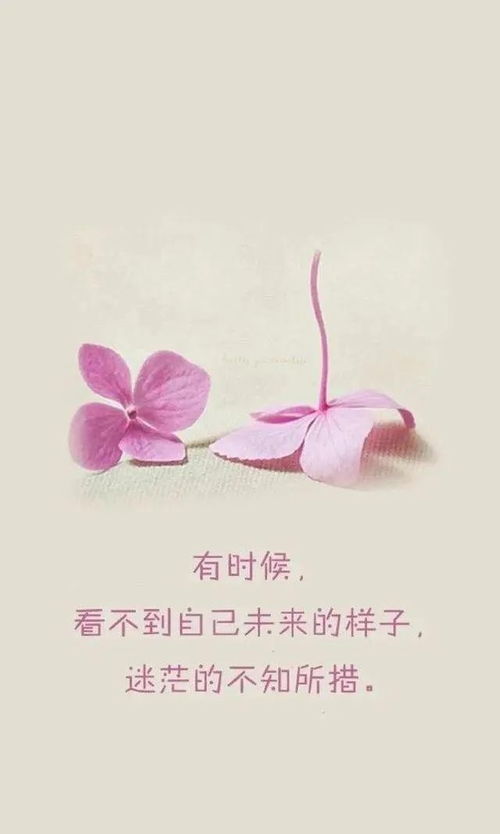 让对方看到温暖的句子(他让我看到了温暖)