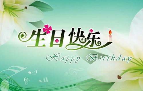 生日精致的句子(生日精致的句子长辈)