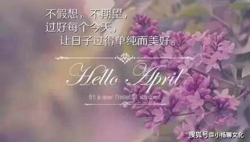 冷酷随意的句子(形容一切随意的句子)