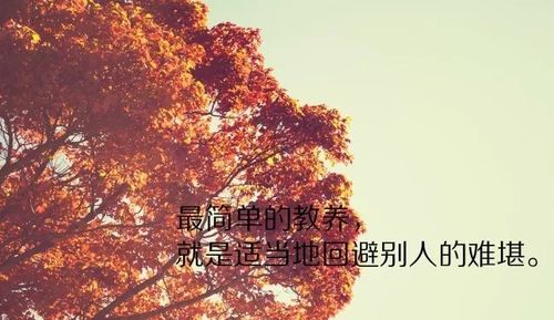 一路风景一路心情句子(一路风景一路心情句子)
