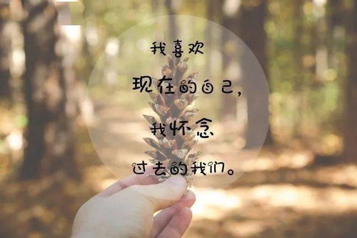 悲伤、绝望、心痛和寒冷的句子(一个字表达绝望和心痛)