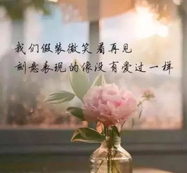 20(2023年春节)