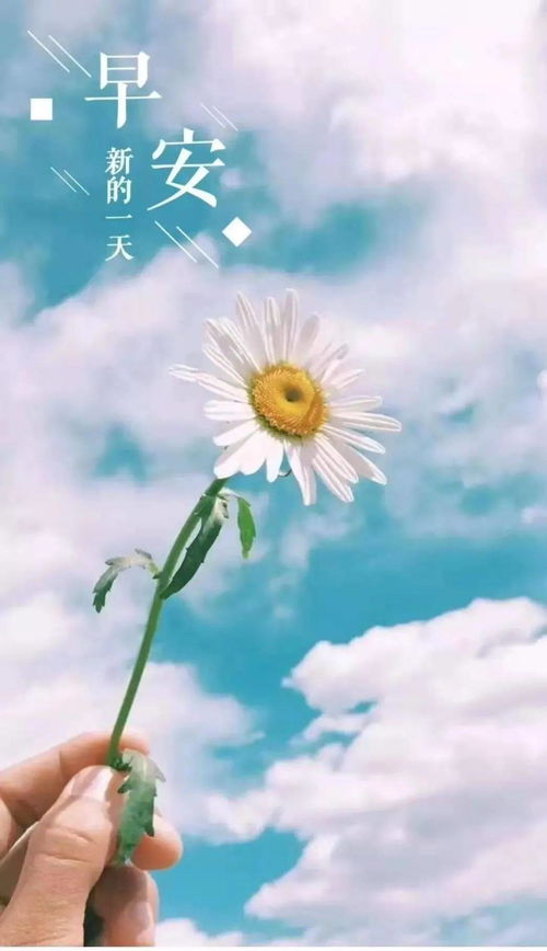 早上是一天中最宝贵的时间