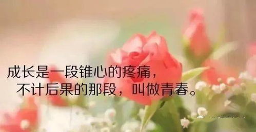 快乐的句子说心情好的文案(不快乐的句子说说心情)
