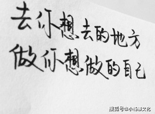 努力做一个快乐的人,让别人看到你就开心(努力做一个快乐的人 不为往事忧)