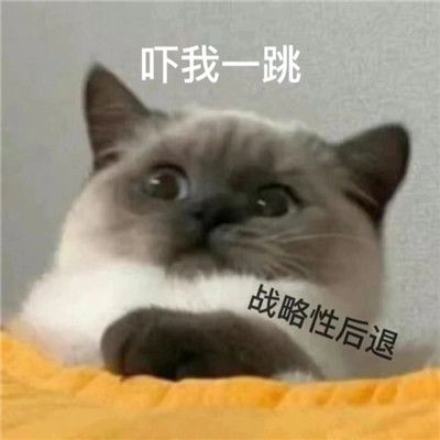 网络语言内卷是什么意思(网络语言内卷是什么)