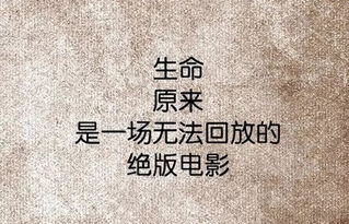 文案短句干净,三观正高冷的语录(文案短句干净三观正高冷八字)