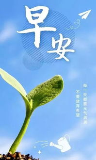 早上吸引朋友圈的句子(早上吸引朋友圈的图片)