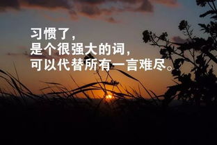 坚持每天努力的句子(坚持努力的好句好段)