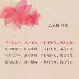 美到窒息的古典诗句(美到窒息的古典诗句)