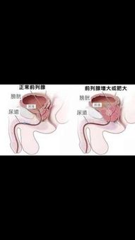 女人30岁像狼,40岁就像老虎是真的吗?(为什么女人30如狼)