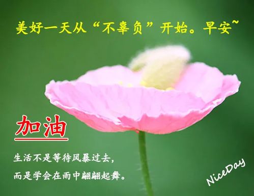 天真温暖,对世界充满善意!(世界有你就温暖)